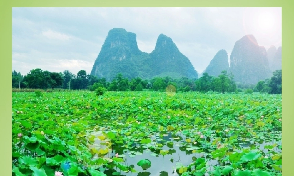 秋六年级语文上册《荷塘旧事》课件2 北师大版-北师大版小学六年级上册语文课件