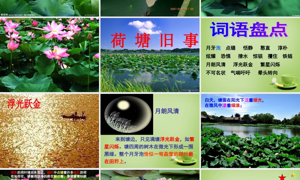 秋六年级语文上册《荷塘旧事》课件2 北师大版-北师大版小学六年级上册语文课件