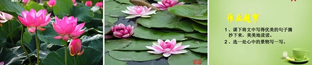 秋六年级语文上册《荷塘旧事》课件2 北师大版-北师大版小学六年级上册语文课件