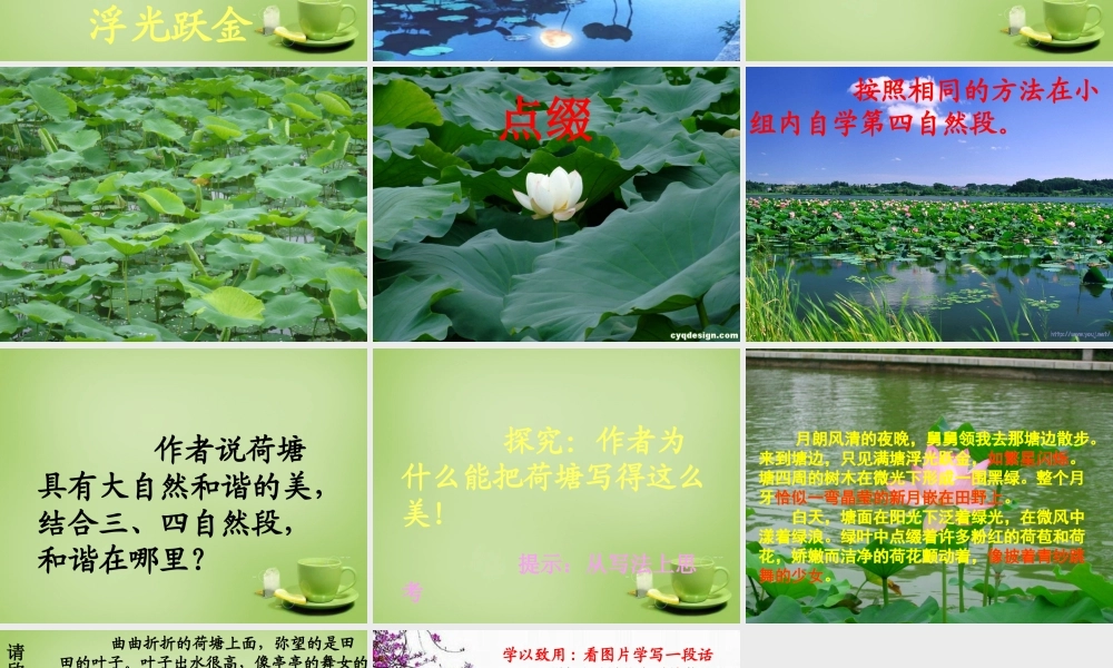 秋六年级语文上册《荷塘旧事》课件3 北师大版-北师大版小学六年级上册语文课件