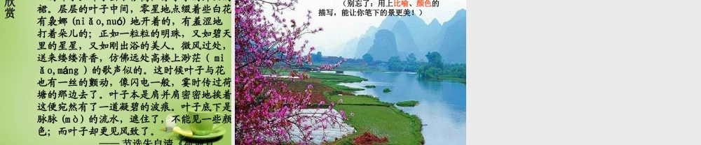 秋六年级语文上册《荷塘旧事》课件3 北师大版-北师大版小学六年级上册语文课件