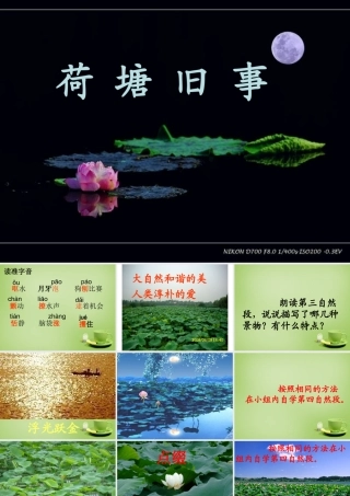 秋六年级语文上册《荷塘旧事》课件3 北师大版-北师大版小学六年级上册语文课件