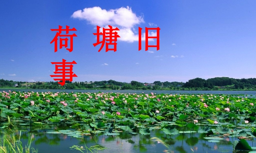 秋六年级语文上册《荷塘旧事》课件4 北师大版-北师大版小学六年级上册语文课件