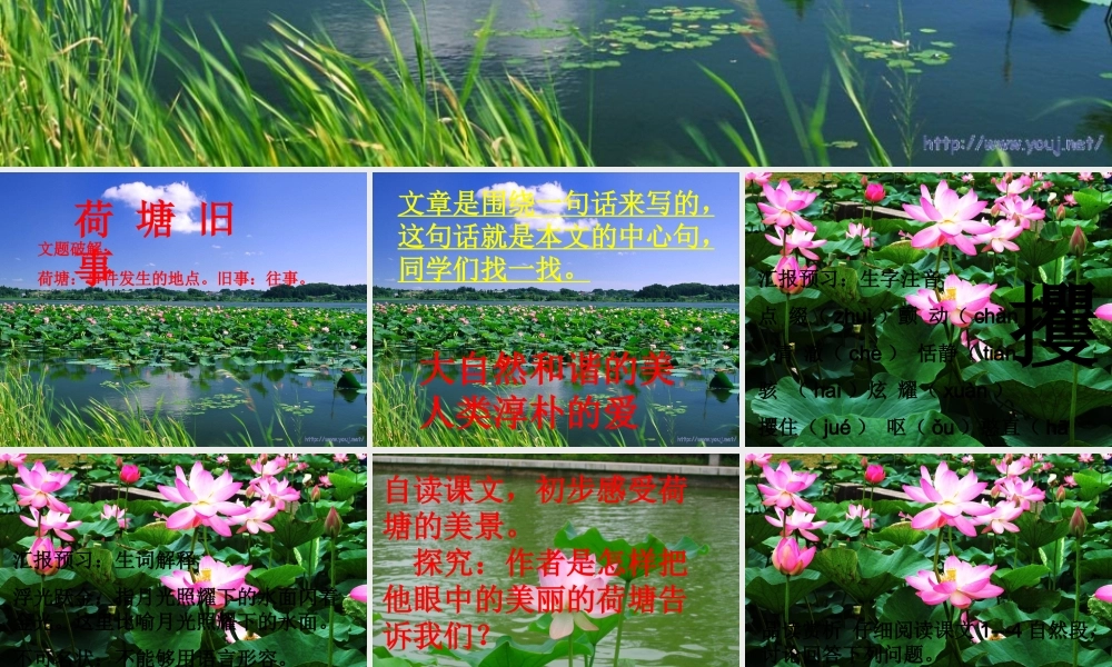 秋六年级语文上册《荷塘旧事》课件4 北师大版-北师大版小学六年级上册语文课件