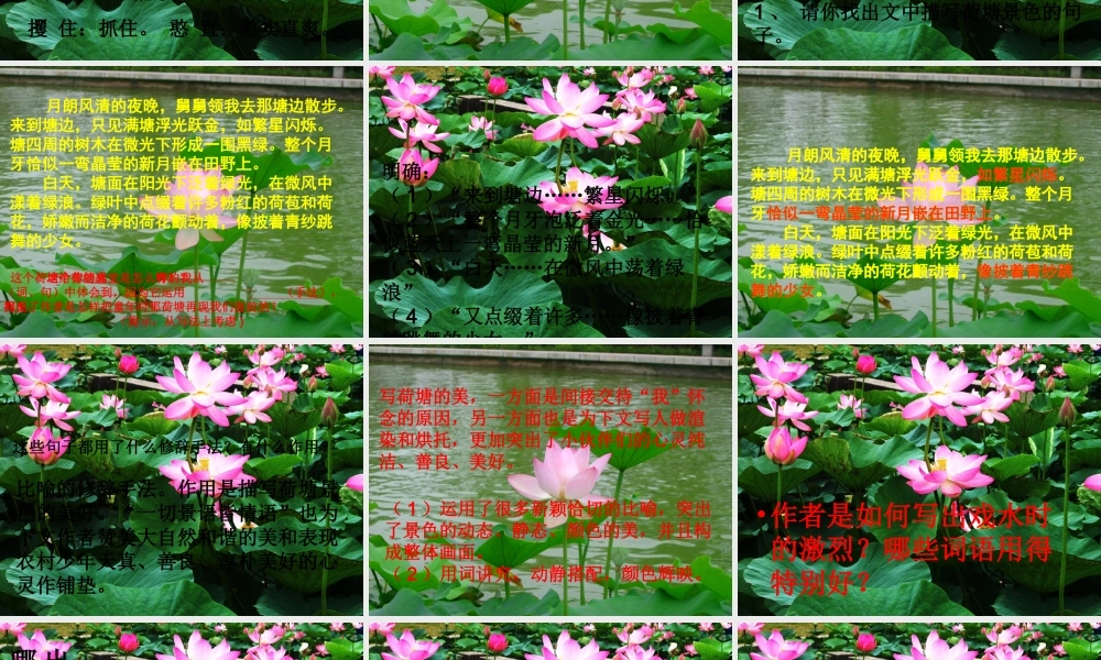 秋六年级语文上册《荷塘旧事》课件4 北师大版-北师大版小学六年级上册语文课件