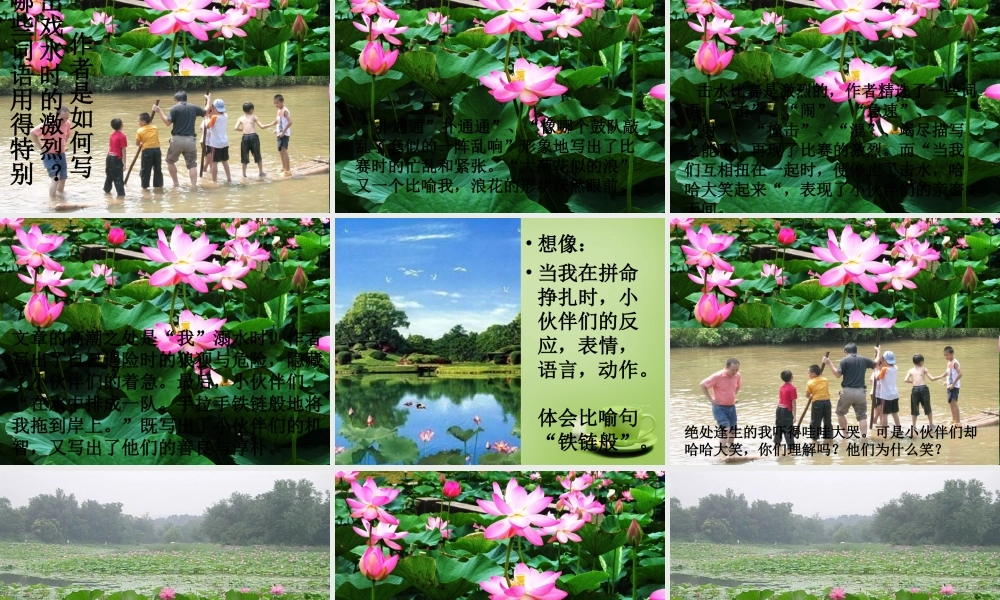 秋六年级语文上册《荷塘旧事》课件4 北师大版-北师大版小学六年级上册语文课件