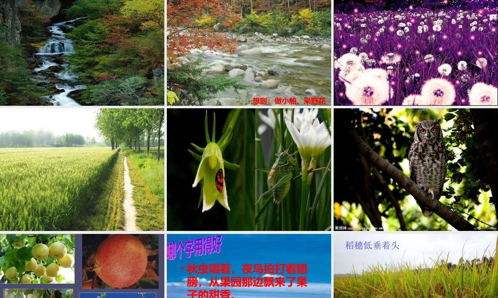 秋三年级语文上册《走月亮》课件2 冀教版-冀教版小学三年级上册语文课件