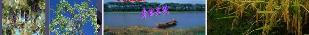 秋三年级语文上册《走月亮》课件2 冀教版-冀教版小学三年级上册语文课件
