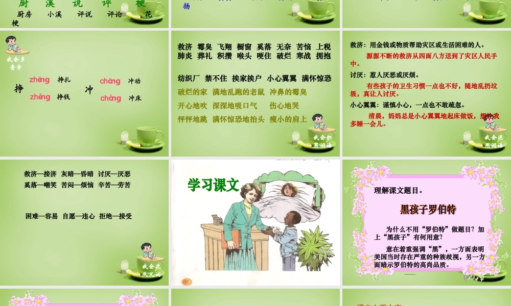 秋六年级语文上册《黑孩子罗伯特》课件1 北师大版-北师大版小学六年级上册语文课件