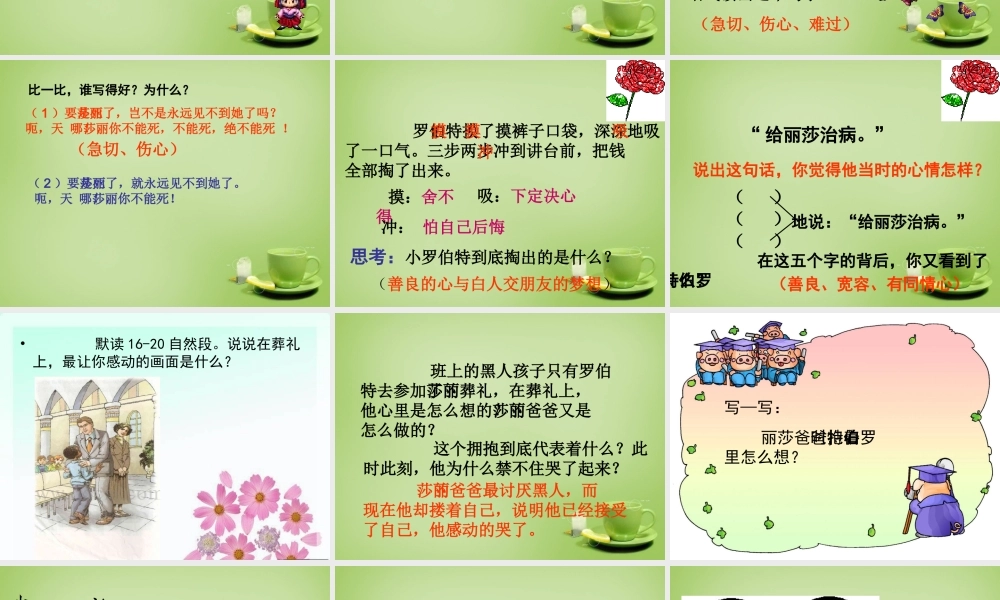 秋六年级语文上册《黑孩子罗伯特》课件2 北师大版-北师大版小学六年级上册语文课件