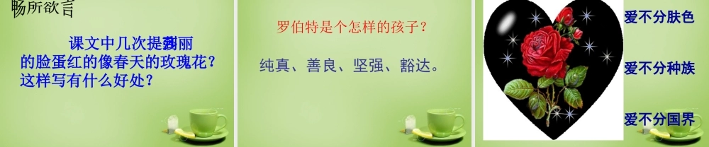 秋六年级语文上册《黑孩子罗伯特》课件2 北师大版-北师大版小学六年级上册语文课件