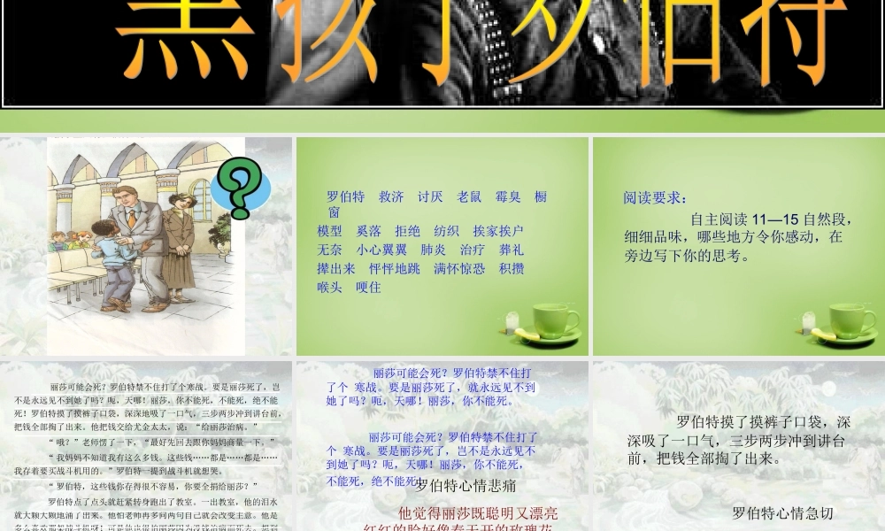 秋六年级语文上册《黑孩子罗伯特》课件3 北师大版-北师大版小学六年级上册语文课件