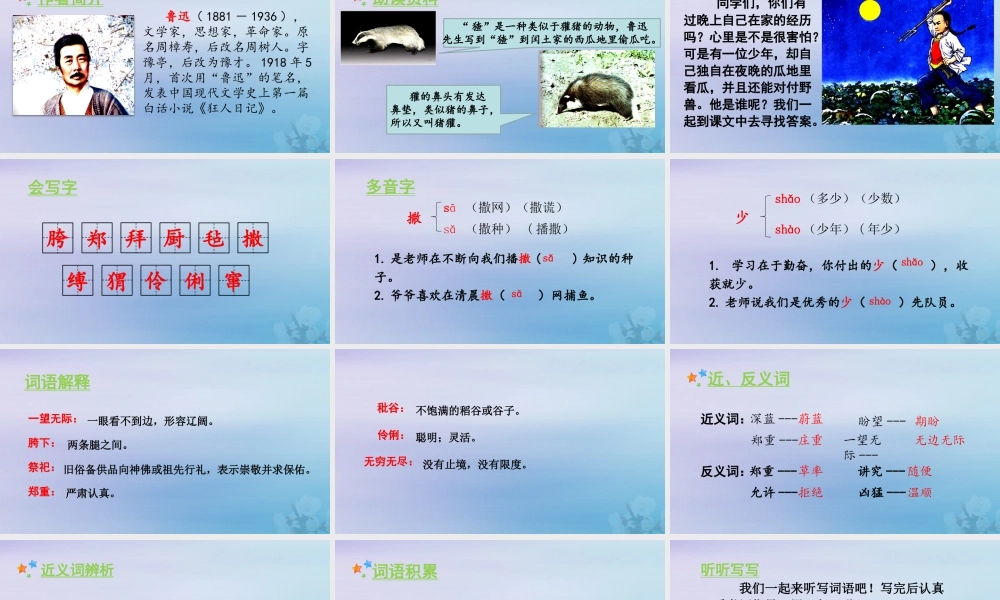 秋六年级语文上册 第八单元 24 少年闰土教学课件 新人教版-新人教版小学六年级上册语文课件