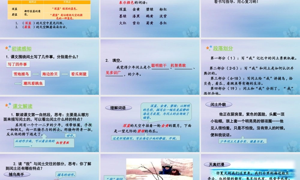 秋六年级语文上册 第八单元 24 少年闰土教学课件 新人教版-新人教版小学六年级上册语文课件