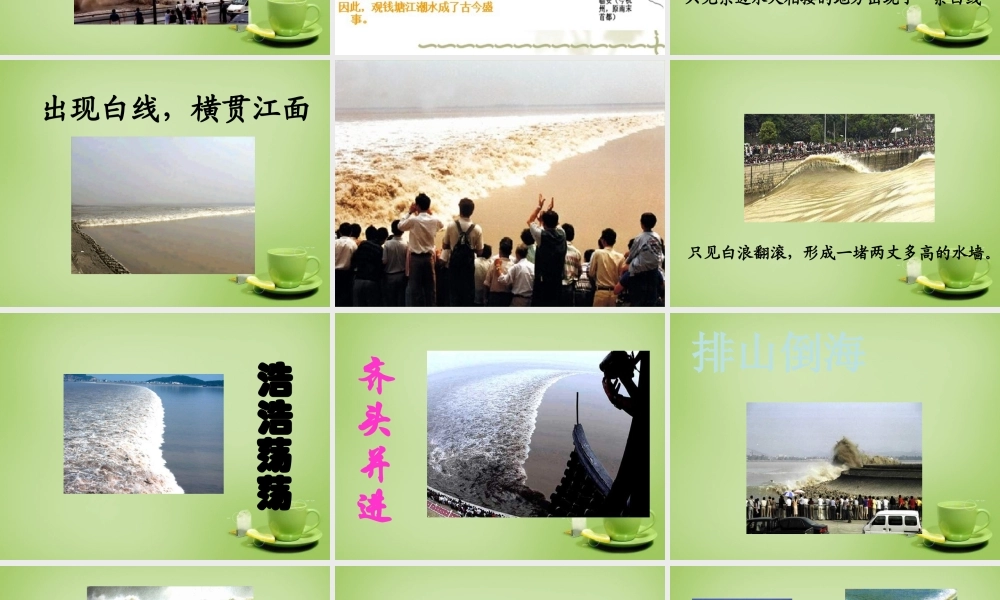 秋五年级语文上册《浙江潮》课件4 北师大版-北师大版小学五年级上册语文课件