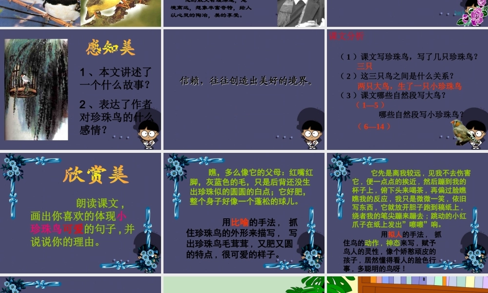 秋五年级语文上册《珍珠鸟》课件1 冀教版-冀教版小学五年级上册语文课件