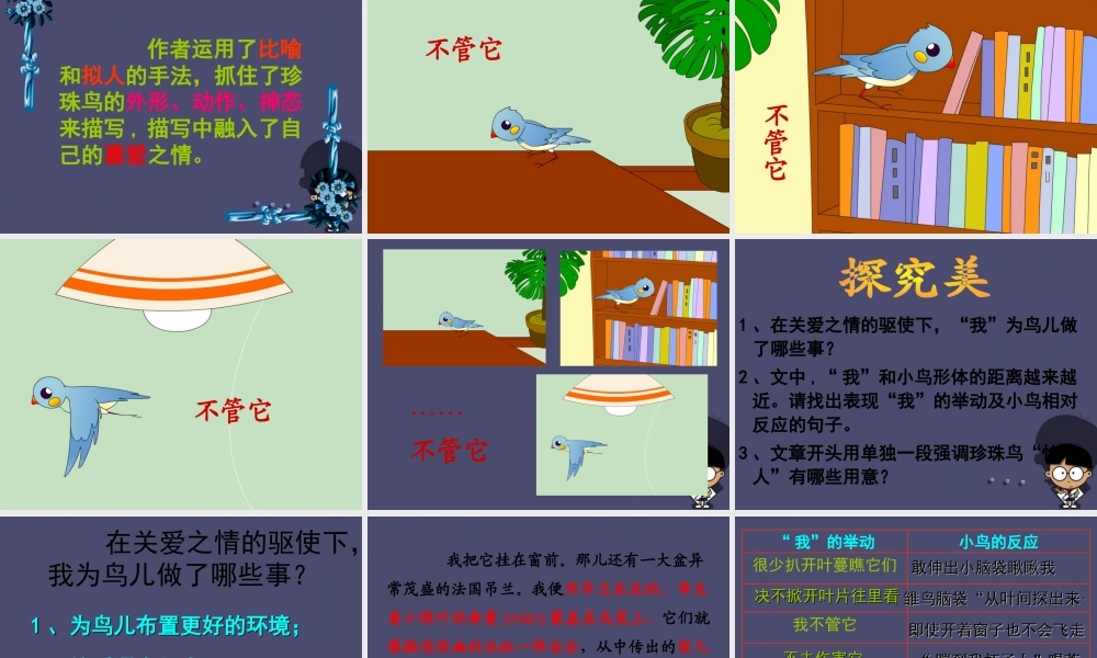 秋五年级语文上册《珍珠鸟》课件1 冀教版-冀教版小学五年级上册语文课件