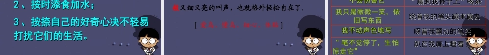 秋五年级语文上册《珍珠鸟》课件1 冀教版-冀教版小学五年级上册语文课件