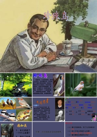 秋五年级语文上册《珍珠鸟》课件1 冀教版-冀教版小学五年级上册语文课件