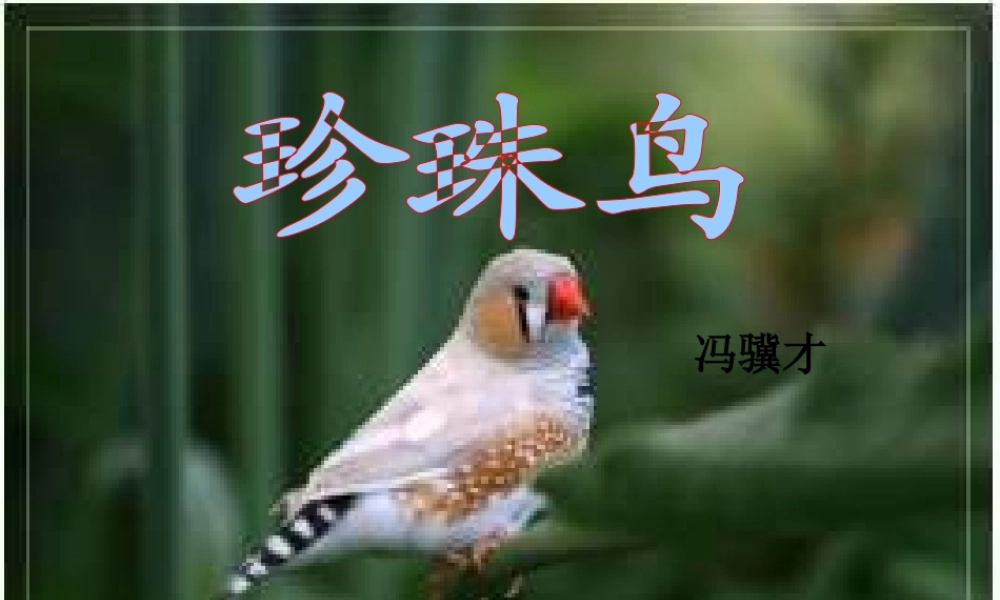 秋五年级语文上册《珍珠鸟》课件2 冀教版-冀教版小学五年级上册语文课件