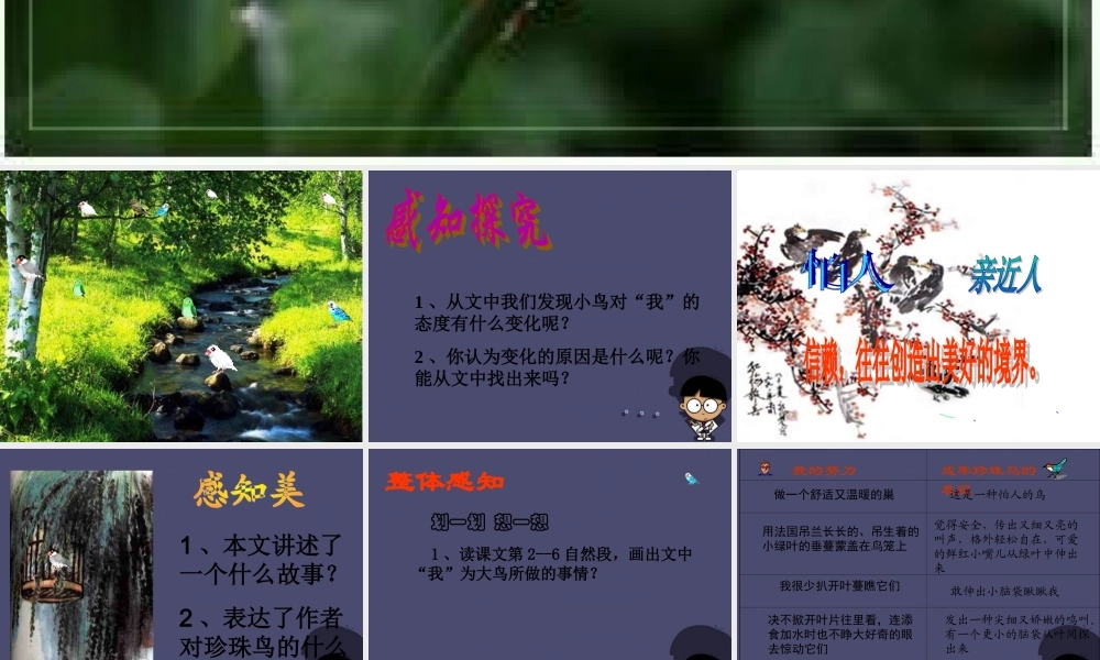 秋五年级语文上册《珍珠鸟》课件2 冀教版-冀教版小学五年级上册语文课件