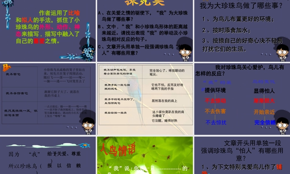 秋五年级语文上册《珍珠鸟》课件2 冀教版-冀教版小学五年级上册语文课件