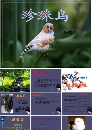秋五年级语文上册《珍珠鸟》课件2 冀教版-冀教版小学五年级上册语文课件