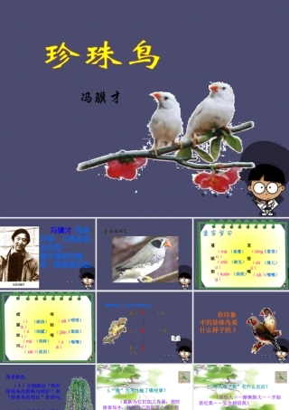 秋五年级语文上册《珍珠鸟》课件3 冀教版-冀教版小学五年级上册语文课件