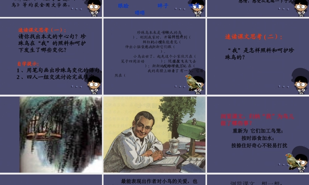秋五年级语文上册《珍珠鸟》课件4 冀教版-冀教版小学五年级上册语文课件