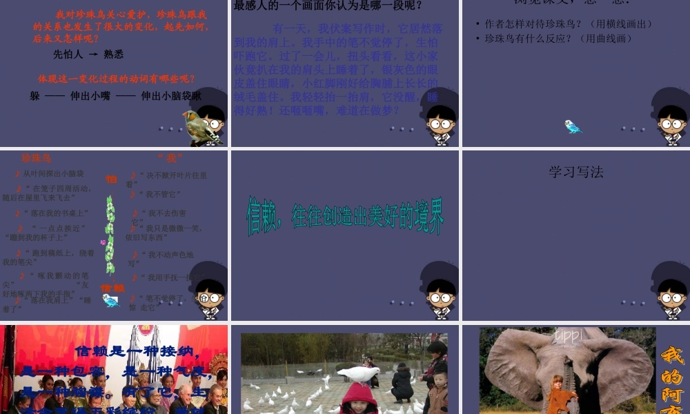 秋五年级语文上册《珍珠鸟》课件4 冀教版-冀教版小学五年级上册语文课件