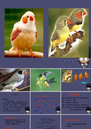 秋五年级语文上册《珍珠鸟》课件4 冀教版-冀教版小学五年级上册语文课件