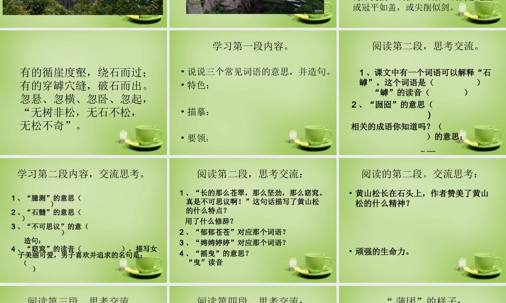 秋六年级语文上册《黄山松》课件1 北师大版-北师大版小学六年级上册语文课件