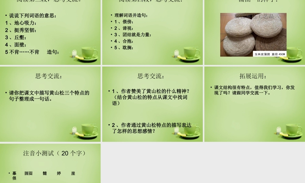 秋六年级语文上册《黄山松》课件1 北师大版-北师大版小学六年级上册语文课件