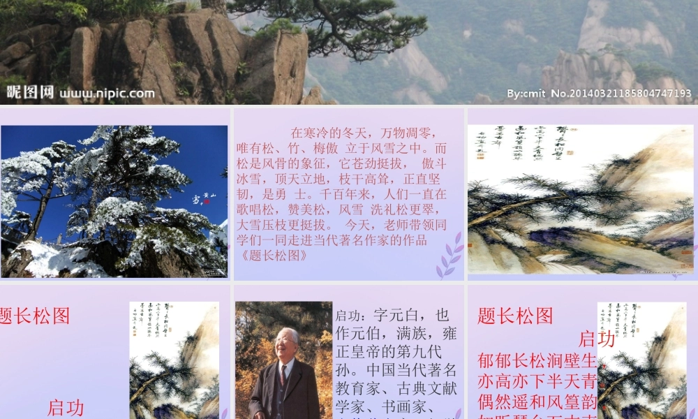 秋六年级语文上册 第八单元 岁寒三友 38 题长松图教学课件 北师大版-北师大版小学六年级上册语文课件