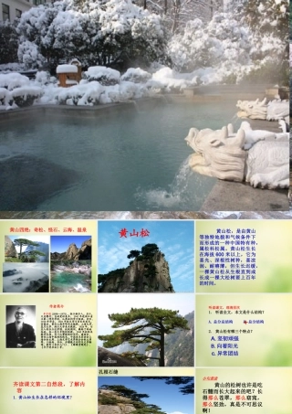 秋六年级语文上册《黄山松》课件3 北师大版-北师大版小学六年级上册语文课件