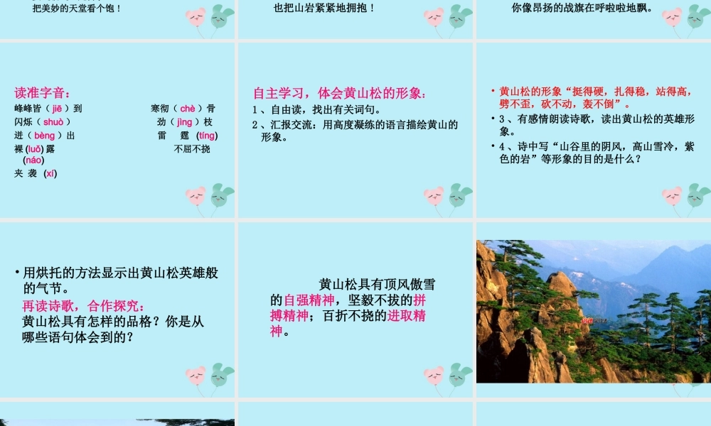 秋六年级语文上册 第八单元 岁寒三友 39 黄山松教学课件 北师大版-北师大版小学六年级上册语文课件