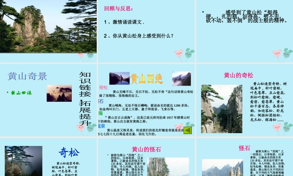 秋六年级语文上册 第八单元 岁寒三友 39 黄山松教学课件 北师大版-北师大版小学六年级上册语文课件