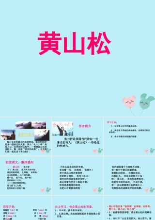 秋六年级语文上册 第八单元 岁寒三友 39 黄山松教学课件 北师大版-北师大版小学六年级上册语文课件