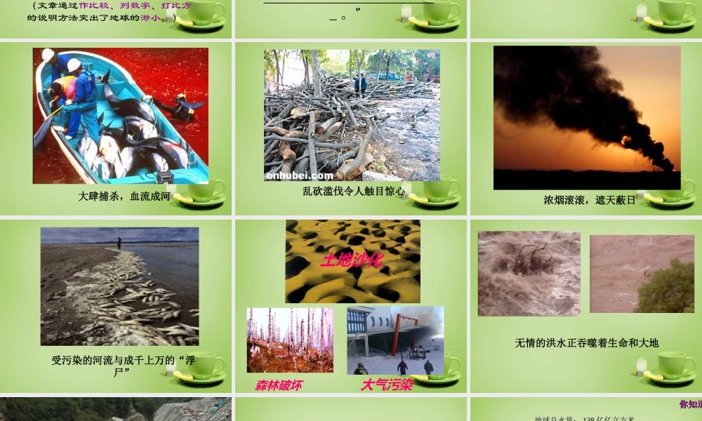 秋五年级语文上册《只有一个地球》课件4 北师大版-北师大版小学五年级上册语文课件