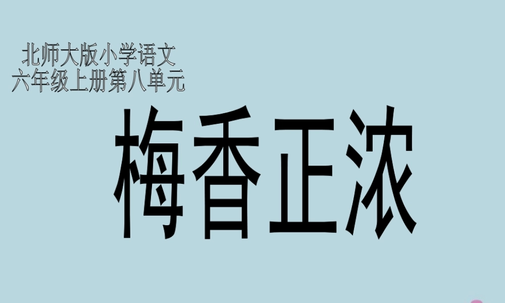 秋六年级语文上册 第八单元 岁寒三友 41 梅香正浓教学课件 北师大版-北师大版小学六年级上册语文课件