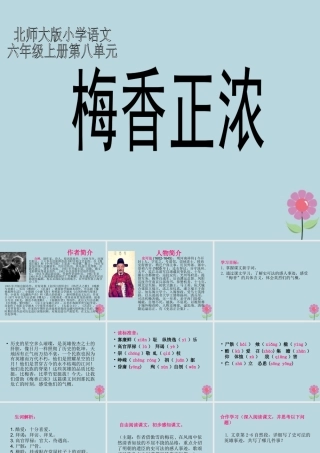 秋六年级语文上册 第八单元 岁寒三友 41 梅香正浓教学课件 北师大版-北师大版小学六年级上册语文课件