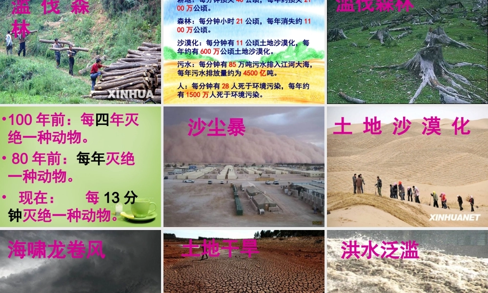 秋五年级语文上册《只有一个地球》课件5 北师大版-北师大版小学五年级上册语文课件