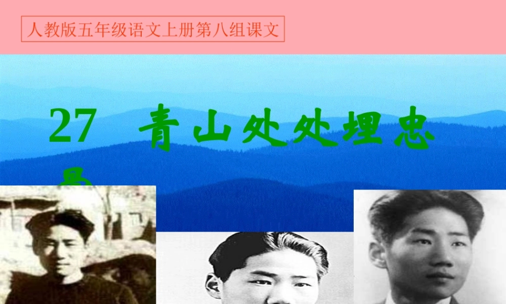 秋五年级语文上册 第27课 青山处处埋忠骨课件1 新人教版-新人教版小学五年级上册语文课件