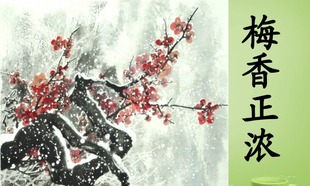 秋六年级语文上册《梅香正浓》课件1 北师大版-北师大版小学六年级上册语文课件