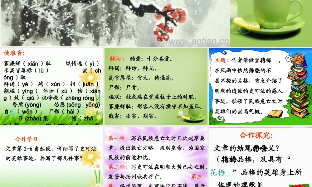 秋六年级语文上册《梅香正浓》课件1 北师大版-北师大版小学六年级上册语文课件