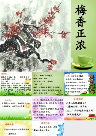 秋六年级语文上册《梅香正浓》课件1 北师大版-北师大版小学六年级上册语文课件