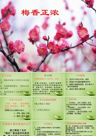 秋六年级语文上册《梅香正浓》课件2 北师大版-北师大版小学六年级上册语文课件