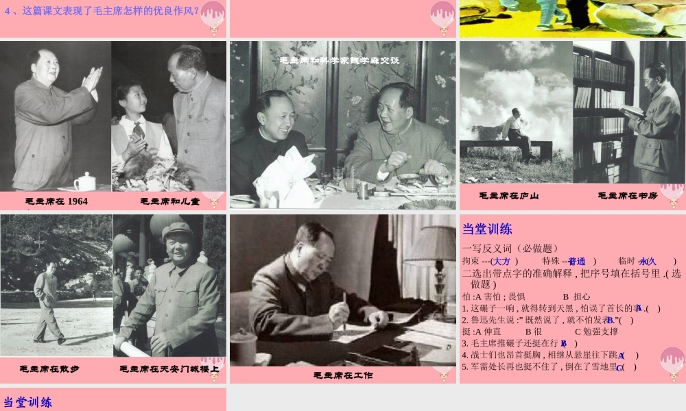秋五年级语文上册 第28课 毛主席在花山课件1 新人教版-新人教版小学五年级上册语文课件