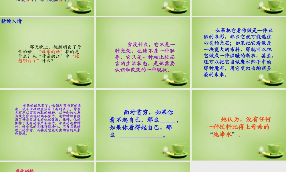 秋六年级语文上册《母亲的纯净水》课件4 北师大版-北师大版小学六年级上册语文课件