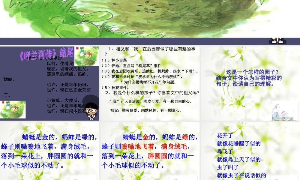 秋五年级语文上册《祖父 后园 我》课件3 冀教版-冀教版小学五年级上册语文课件